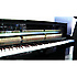 NU1 Yamaha