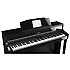 HP605 PE Roland