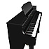 HP605 PE Roland