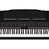 HP605 PE Roland