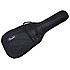 Standard Jazz Bass Black Rosewood Bundle Fender