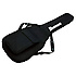 RG421-WK BUNDLE Ibanez