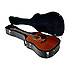 GD10CE-AMNS Takamine