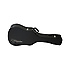 GD10CE-AMNS Takamine