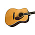 Paramount PM-1 Deluxe Dreadnought Natural Vintage Tint Fender