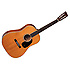 D-222 100th Anniversary Martin Guitars