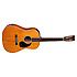 D-222 100th Anniversary Martin Guitars
