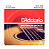 EJ39 Phosphor Bronze Medium 12-52 D'Addario