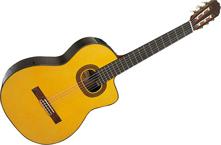 Takamine T30