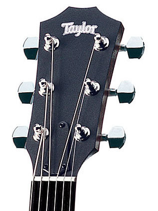 110GB Taylor