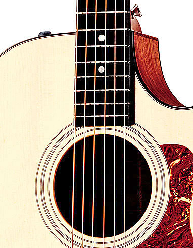 Taylor 312CE