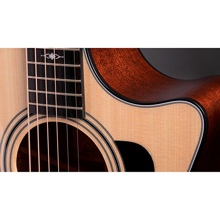 314ce + Etui Taylor