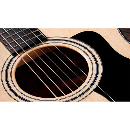 314ce + Etui Taylor