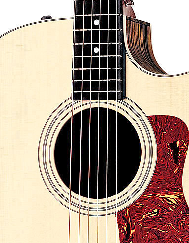 Taylor 410CE