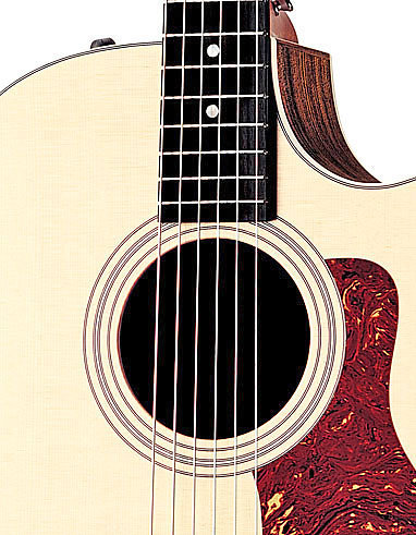 Taylor 414CE