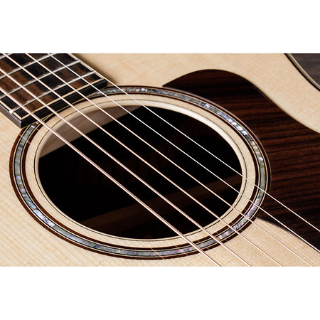 814Ce + Etui Taylor
