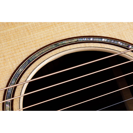 814Ce + Etui Taylor