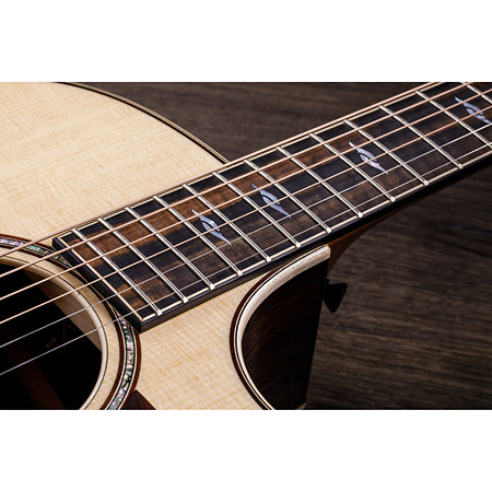 814Ce + Etui Taylor