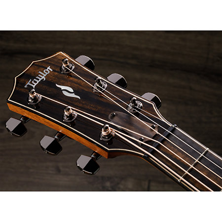 814Ce + Etui Taylor