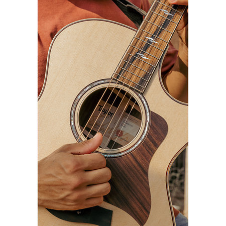 814Ce + Etui Taylor