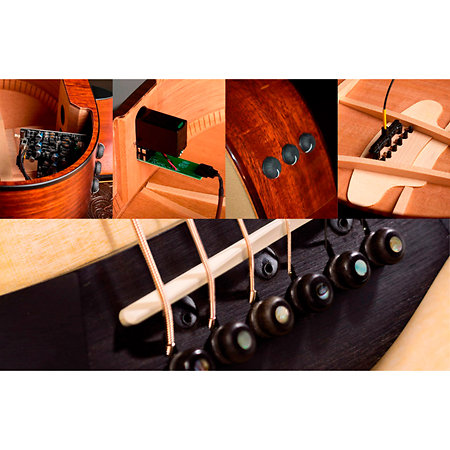 814Ce + Etui Taylor