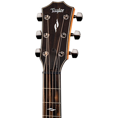 814Ce + Etui Taylor