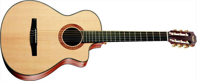 Taylor NS32CE