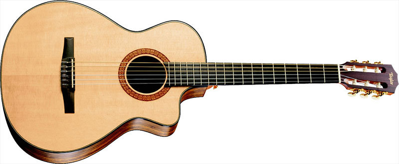 Taylor NS42CE
