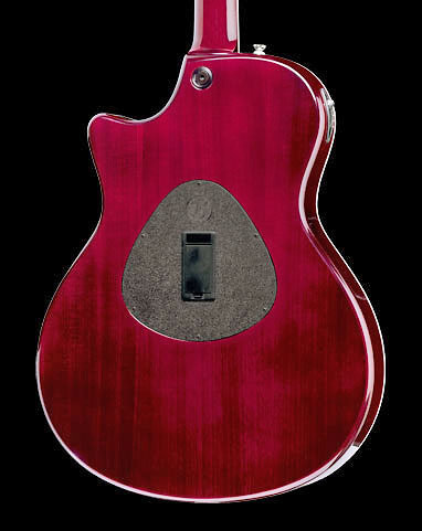 Taylor T5 STANDARD Dégradé Rouge