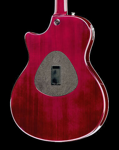 T5 STANDARD Dégradé Miel Taylor