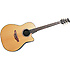 CC24 CELEBRITY Natural Ovation