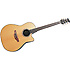 CC24 CELEBRITY Natural Ovation