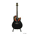 CC44-5 CELEBRITY Black Ovation