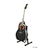 CC44-5 CELEBRITY Black Ovation