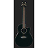 CSE24 CELEBRITY Black Ovation