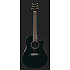 CSE24 CELEBRITY Black Ovation