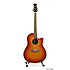 CSE24 CELEBRITY Honey Burst Ovation