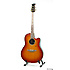 CSE24 CELEBRITY Honey Burst Ovation