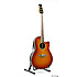 CSE24 CELEBRITY Honey Burst Ovation