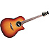 CSE24 CELEBRITY Honey Burst Ovation