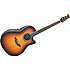 CDX24 1 CELEBRITY Sunburst Ovation