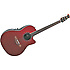 CDX24  WT2 CELEBRITY Ovation