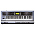 GW7 Roland