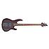 B254STBLK ESP