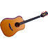 AN10 Takamine