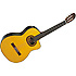 T30 Takamine