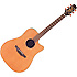 TAN10C Takamine