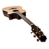 TAN10C Takamine