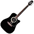 TF341DLX Takamine