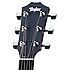 110GB Taylor
